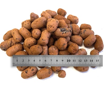 Фракции 20-40